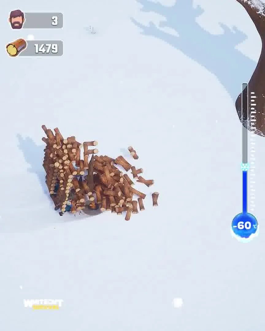 Eternal Winter