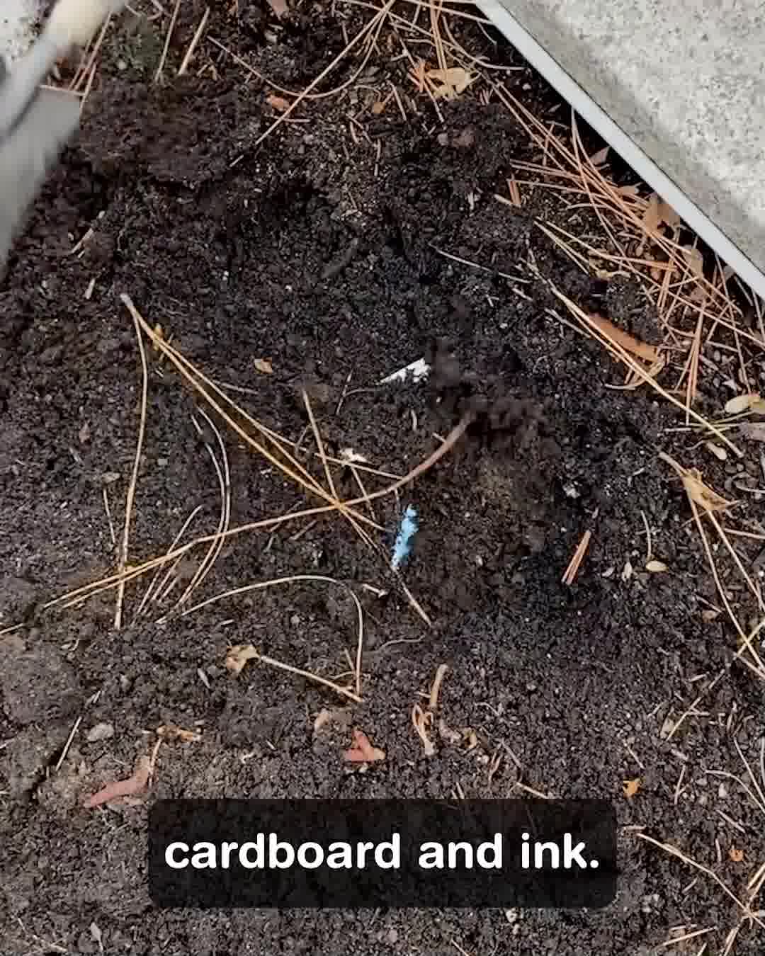 Make a Difference Today