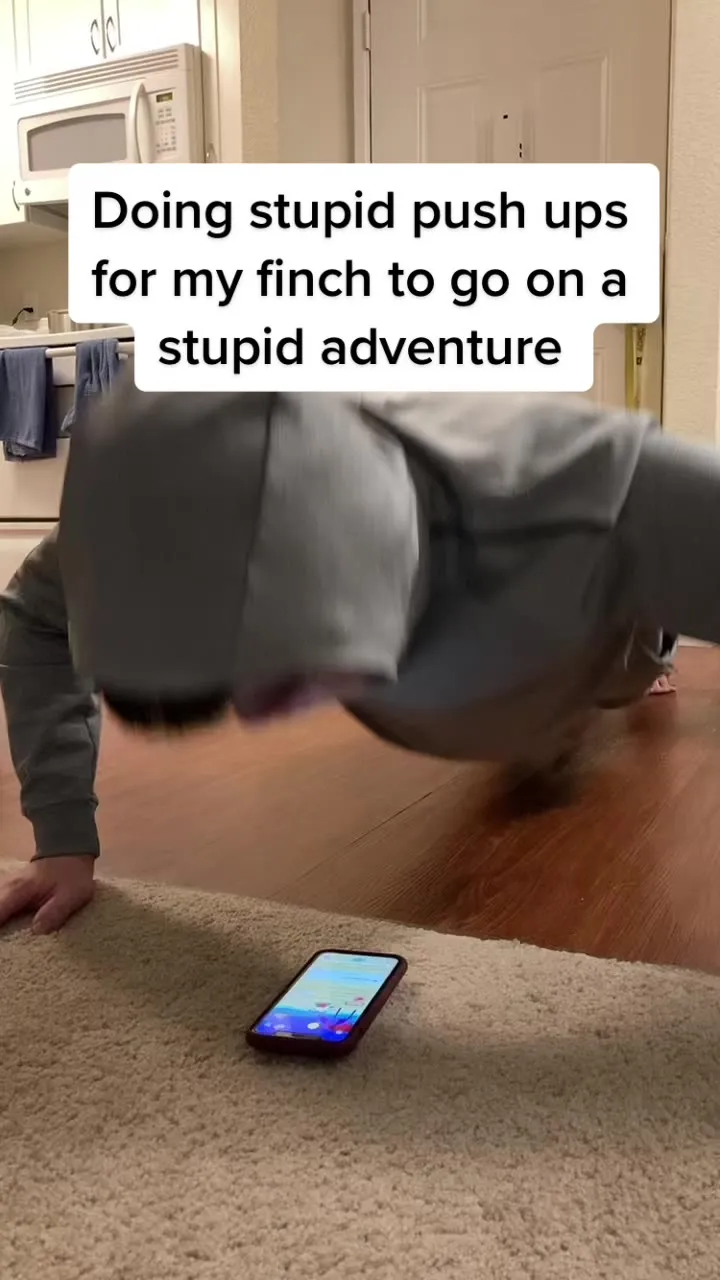 Self Care Pet Game