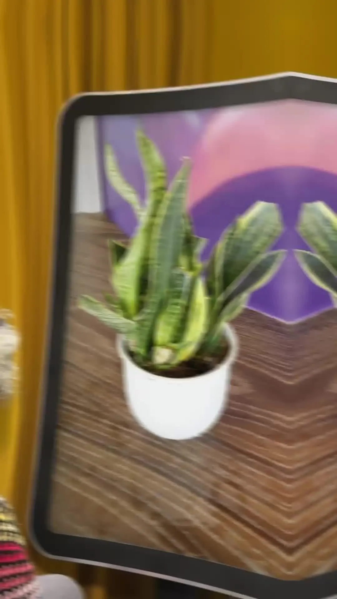 Identifiez les plantes instantanément 🪴