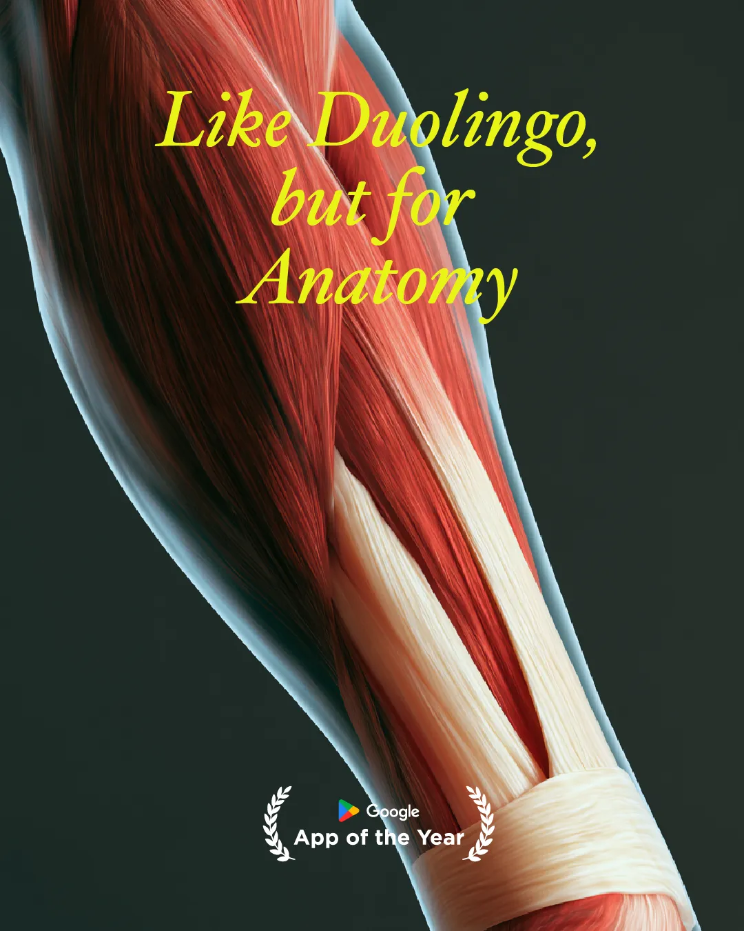 Advertising creative for Imprint: Visual Micro Learning