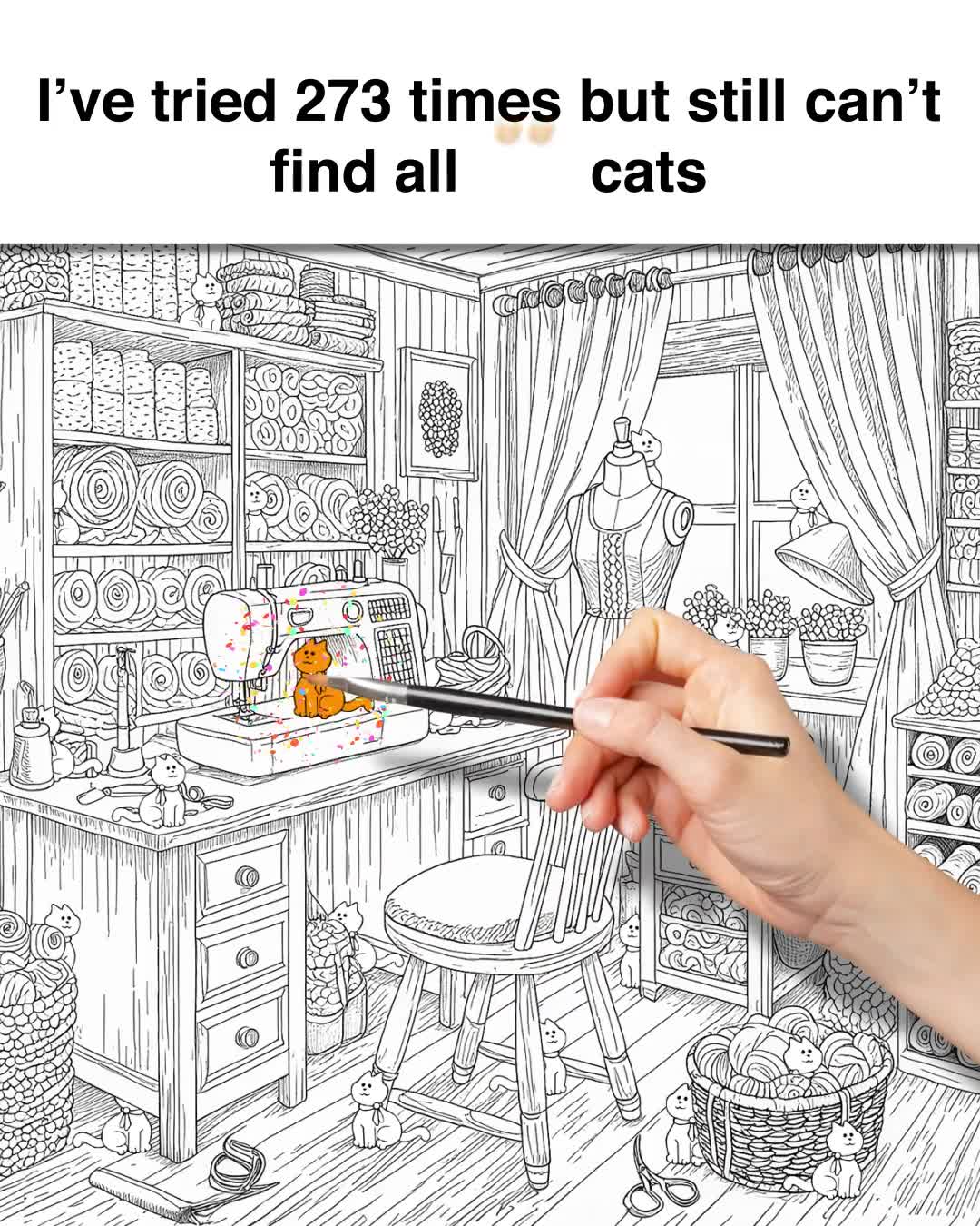 Find the Cat!