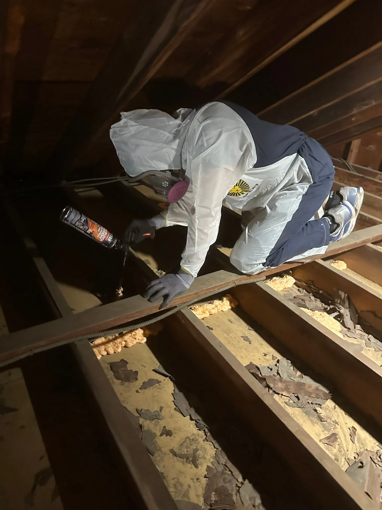 Adaptive Insulation ad: Seal Your Home From Top to Bottom