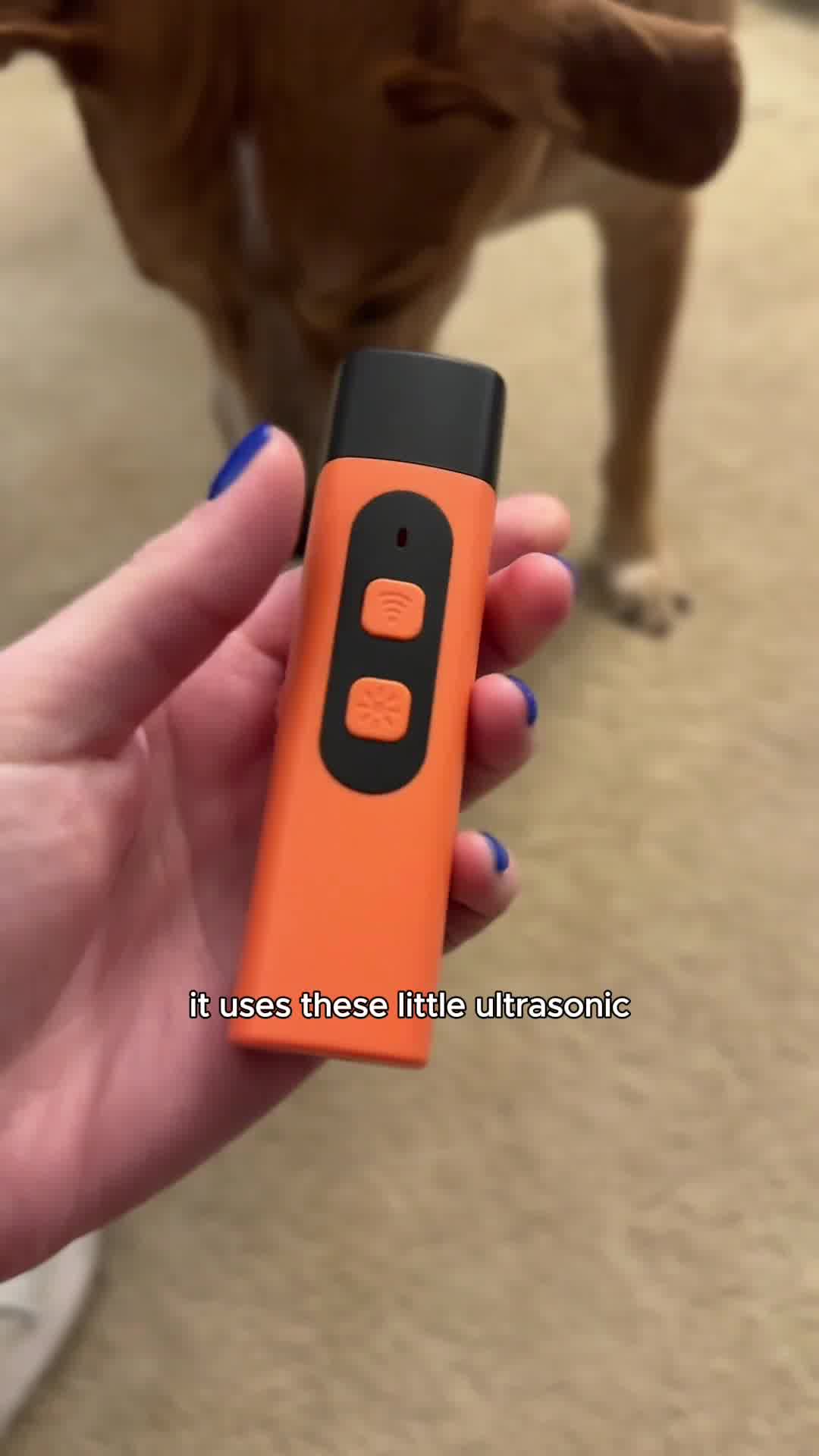 Better Behavior In Seconds. 🐶🔇