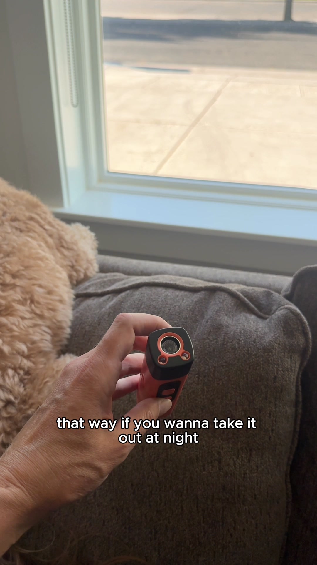 Better Behavior In Seconds. 🐶🔇